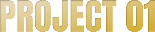 PROJECT 01
